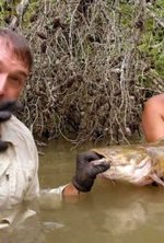 Regarder Monster Fish en ligne gratuitement.